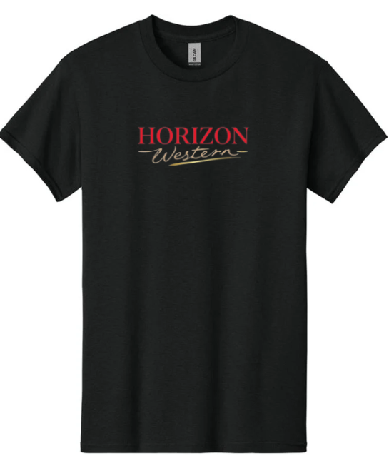 T-shirt HOMME HW BR